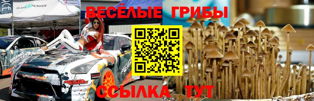 Гашиш  Чебоксары  Бошки Шишки  ГАШ  COCAIN  Меф кристаллы  Вход с VPN 