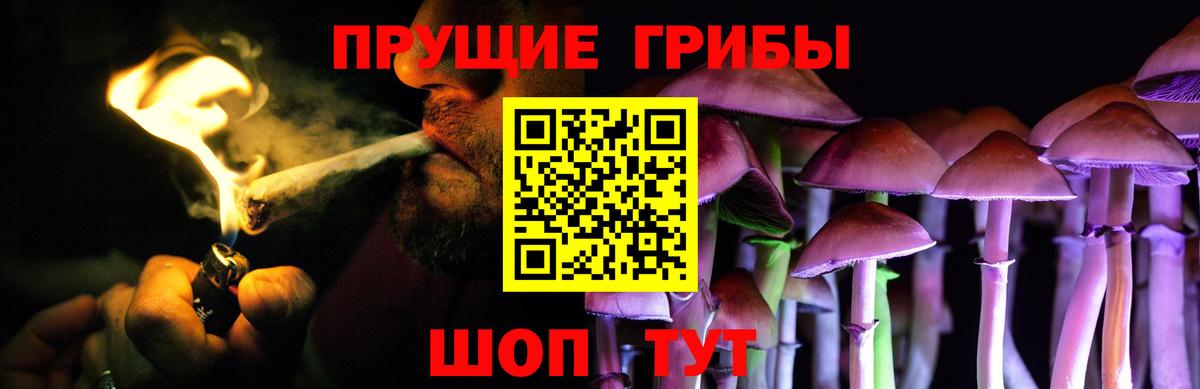 Чебоксары  Галлюциногенные грибы GOLDEN TEACHER  Вход с VPN 